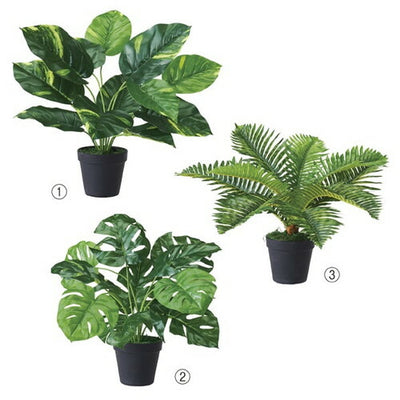 店舗用品演出用品グリーンポット(フェイクグリーン)モンステラの商品画像