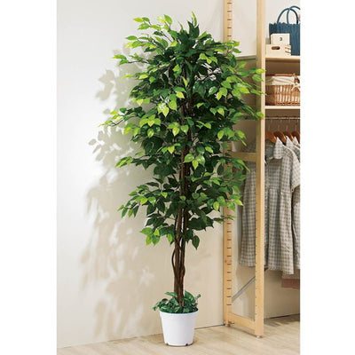 店舗用品演出用品立ち木(人工樹木)ベンジャミングリーンの商品画像