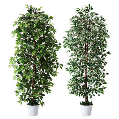 店舗用品演出用品立ち木(人工樹木)210cmベンジャミングリーンの商品画像