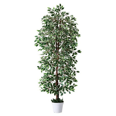 店舗用品演出用品立ち木(人工樹木)210cmベンジャミングリーン/ホワイトの商品画像