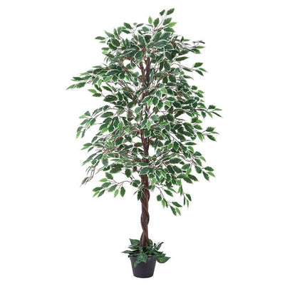 店舗用品演出用品人工樹木H150cmベンジャミングリーン/ホワイトの商品画像