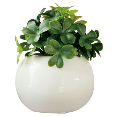 店舗用品演出用品ラウンドポット(光触媒加工)クローバーの商品画像