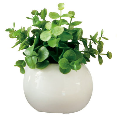 店舗用品演出用品ラウンドポット(光触媒加工)ユーカリの商品画像