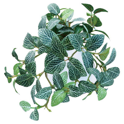 店舗用品演出用品グリーンMRラウンドポット(光触媒加工)フィットニアの商品画像