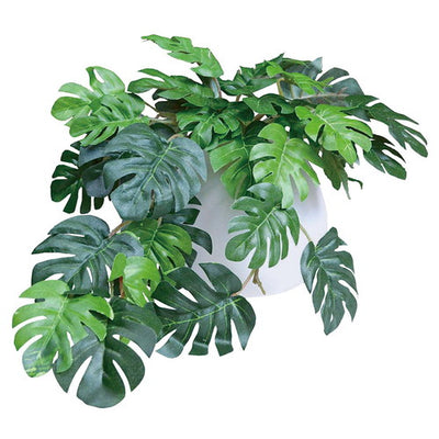 店舗用品演出用品グリーンMRラウンドポット(光触媒加工)モンステラの商品画像