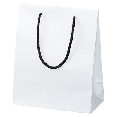 店舗用品ラッピング用品マット貼り紙袋白22×12×27cmの商品画像