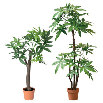 店舗用品演出用品パキラ(人工樹木)朴の木タイプの商品画像