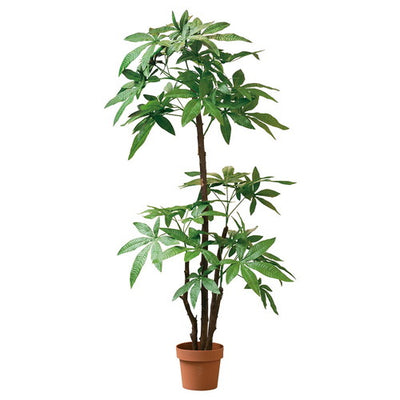 店舗用品演出用品パキラ(人工樹木)スタンダードタイプの商品画像