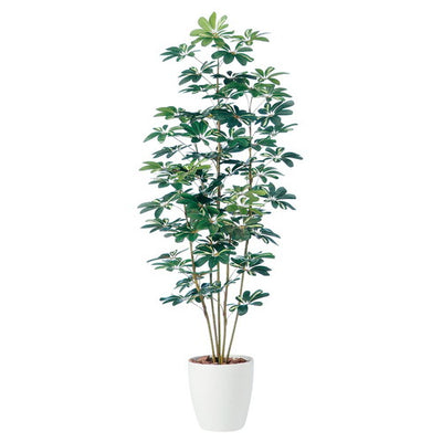 店舗用品演出用品シュフレラ(人工樹木)150cm(光触媒加工)の商品画像
