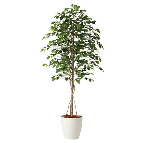 店舗用品演出用品フィカスベンジャミナ(人工樹木)150cm(光触媒加工)の商品画像