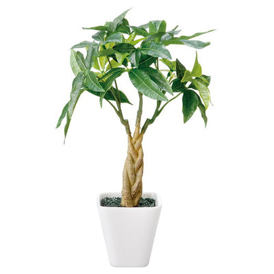 店舗用品演出用品インテリアグリーン(光触媒加工)パキラの商品画像