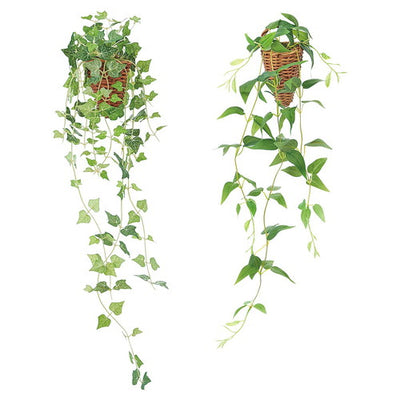 店舗用品演出用品グリーン壁掛けアイビーの商品画像