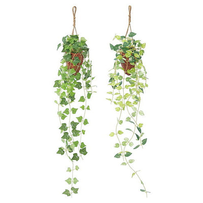 店舗用品演出用品グリーンハンギングアイビーの商品画像