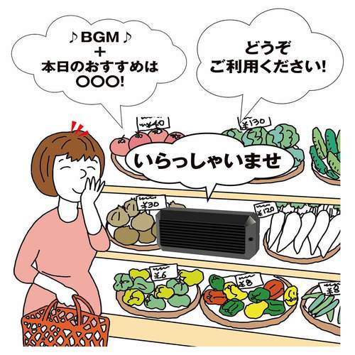 センサー付き音声ポップ SDカード付き (1台) kp38-800-6-1