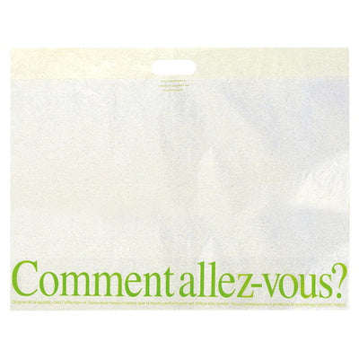 店舗用品ラッピング用品パリジェンヌ100×65×底マチ20cmの商品画像