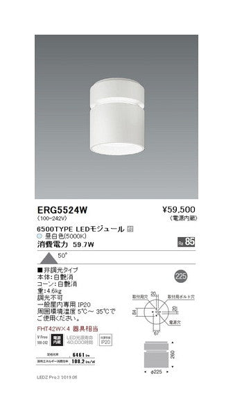 遠藤照明シーリングダウンライト6500TYPE