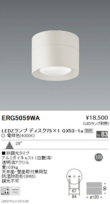 遠藤照明アウトドアライト軒下用シーリングダウンライト本体Disk75ERG5059WA※ランプ別売