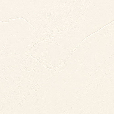 サンゲツクロスファインFE76340抗アレル壁紙内装資材ガラスフィルム硬質塩ビシート壁紙