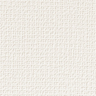 サンゲツクロスファインFE76349抗アレル壁紙内装資材ガラスフィルム硬質塩ビシート壁紙