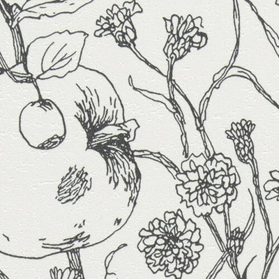 サンゲツクロスファインFE76367フィルム汚れ防止壁紙内装資材ガラスフィルム硬質塩ビシート壁紙