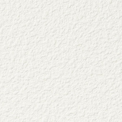 サンゲツクロスファインFE76486天井内装資材ガラスフィルム硬質塩ビシート壁紙