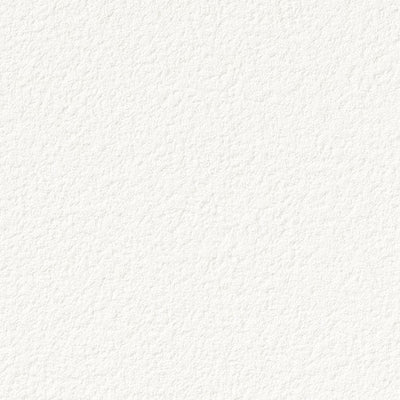 サンゲツクロスファインFE76489天井内装資材ガラスフィルム硬質塩ビシート壁紙