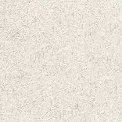 サンゲツクロスファインFE76516和内装資材ガラスフィルム硬質塩ビシート壁紙