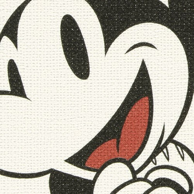 サンゲツクロスファインFE76677Disney内装資材ガラスフィルム硬質塩ビシート壁紙