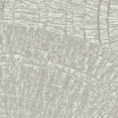 サンゲツクロスファインFE76753モダン内装資材ガラスフィルム硬質塩ビシート壁紙