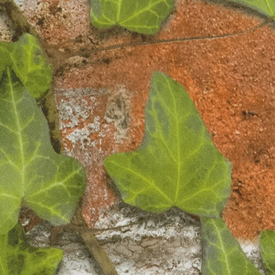 サンゲツクロスファインFE76811ナチュラル・ボタニカル内装資材ガラスフィルム硬質塩ビシート壁紙