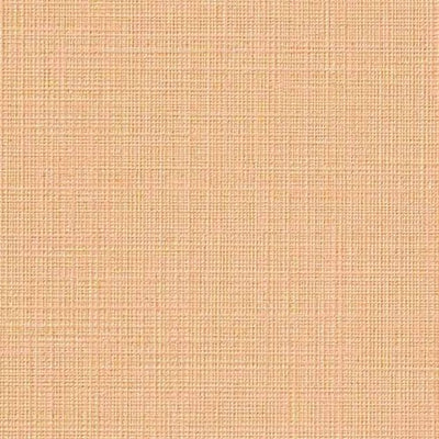 サンゲツクロスフェイスフィルム汚れ防止壁紙TH32387内装資材壁紙