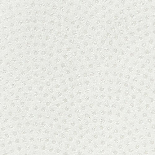 サンゲツクロスフェイス和TH32819内装資材壁紙