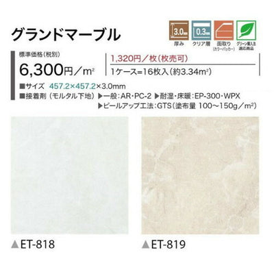 サンゲツフロアタイルリフォルタグランドマーブル1枚単位の画像