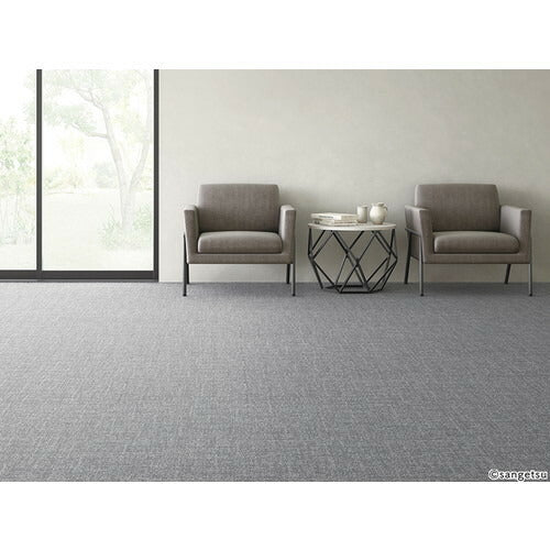 【1枚単位】サンゲツ カーペットタイルNT NT-700H NTH-7130 D-eco ダンガリー・シェイクD