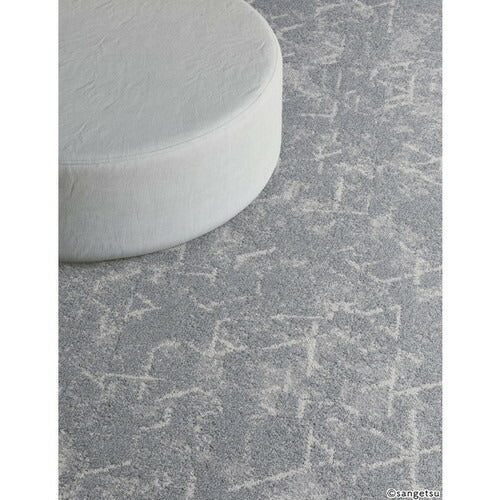 サンゲツ カーペットタイルDT COZY コーラルリーフF DT-7810 DT-7800 F-eco【1枚単位】| レジマーシャルデザインにフィットする寛ぎと温かみを感じる色柄