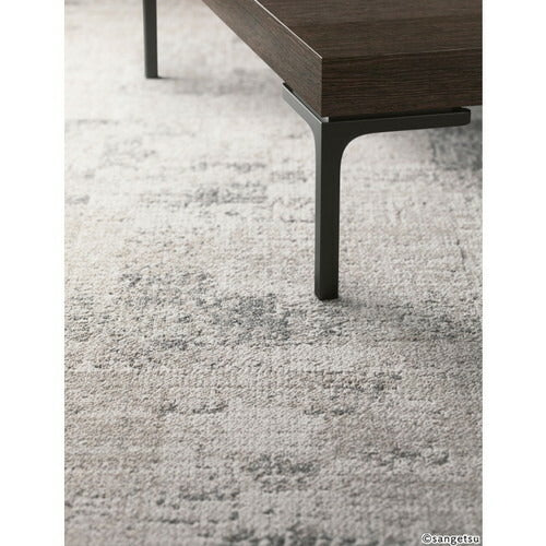 サンゲツ カーペットタイルDT COZY ムーンロードF DT-7850 F-eco【1枚単位】| レジマーシャルデザインにフィットする寛ぎと温かみを感じる色柄