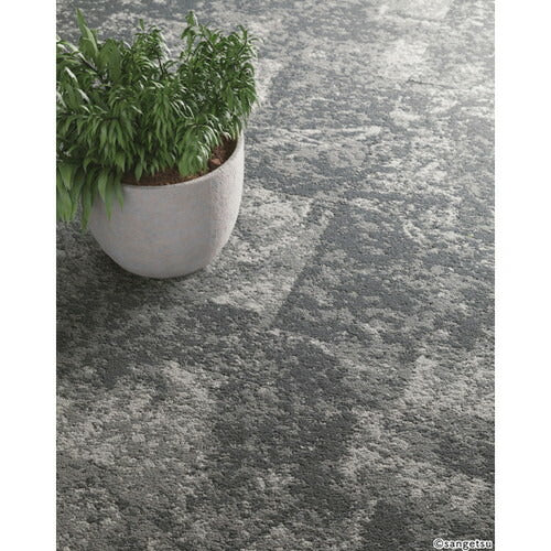 サンゲツ カーペットタイルDT NATURE フラクタル・フォレストF フォリッジF DT-5020 DT-5030 F-eco【1枚単位】| 光や木々、水、石など自然の美しさをモチーフにした有機的なデザイン