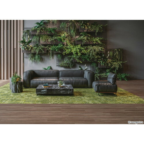 サンゲツ カーペットタイルDT NATURE ツユジF DT-6000 F-eco【1枚単位】| 光や木々、水、石など自然の美しさをモチーフにした有機的なデザイン