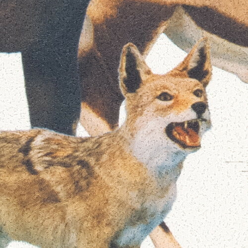 【1m単位切売】サンゲツ クロス リザーブ 国立科学博物館 陸生哺乳類 RE55947