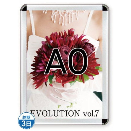 ポスターグリップ44R(屋内用)A0シルバーTSK-PG-44R-A0C(N)の商品画像