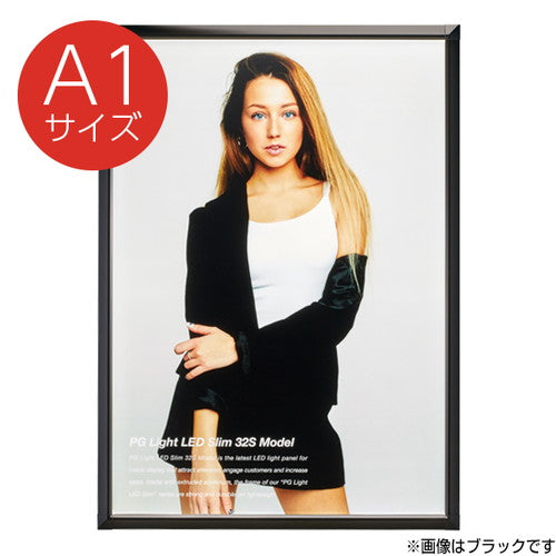 PGライトLEDスリム32SA1ブラック壁付61658A1Bの商品画像