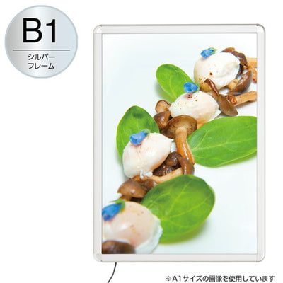 MGライトパネルカスタム屋内外B1シルバー56117-B1の商品画像