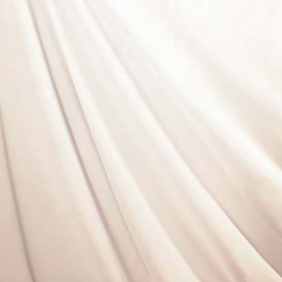 オーガンジPAFA7606ベージュ55915BEGの商品画像