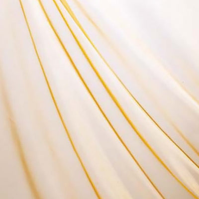 オーガンジPAFA7606オレンジ55915ORGの商品画像