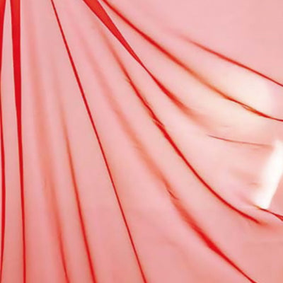 オーガンジPAFA7606レッド55915REDの商品画像