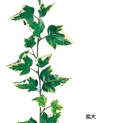 オランダアイビーガーランド60247-01の商品画像