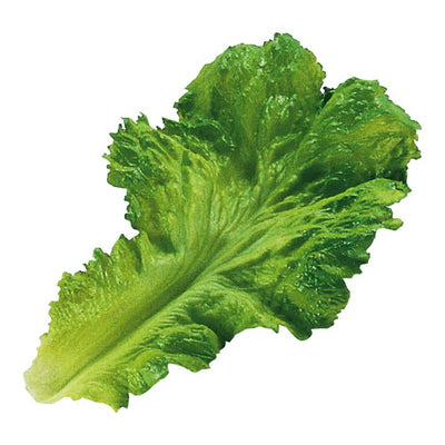 レタス葉56394***の商品画像