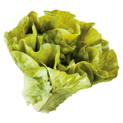レタス株56395***の商品画像