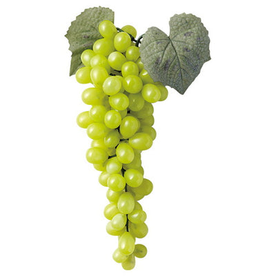 グレープグリーン56401-1*の商品画像