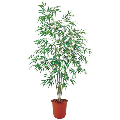 タケツリー2100(鉢別売)LETR761040088***の商品画像